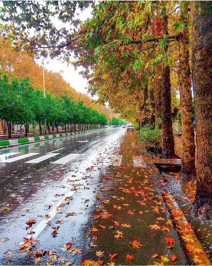 عکس پاییز بارانی