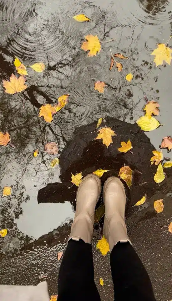عکس پاییز بارانی