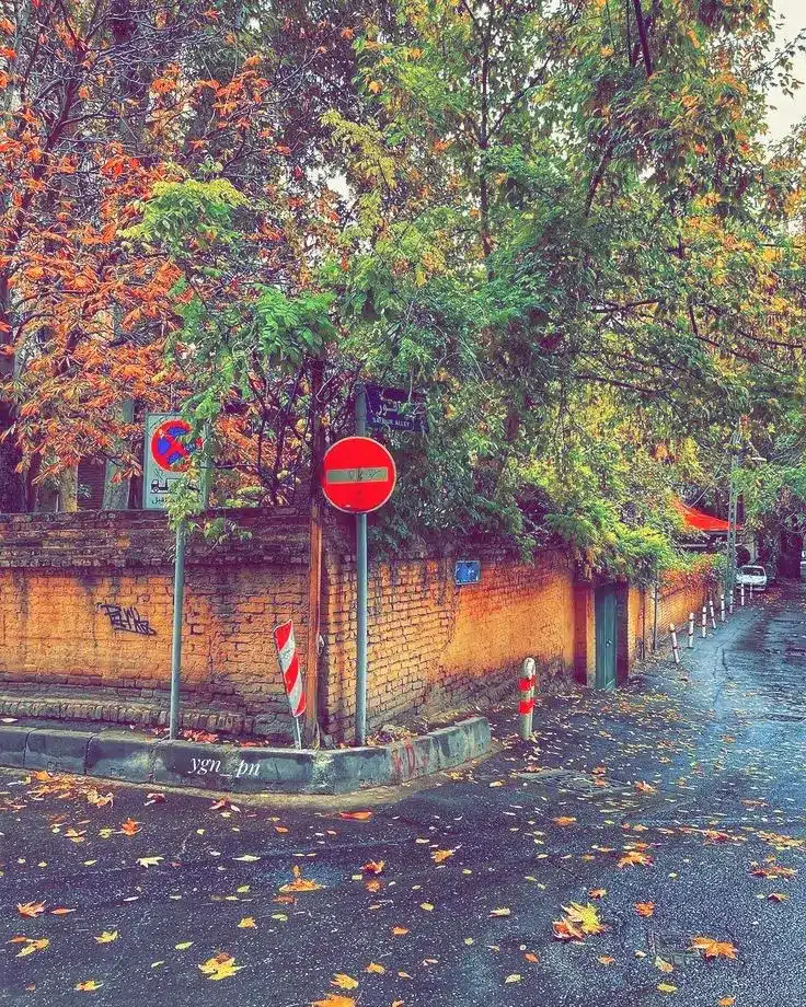 عکس پاییز بارانی