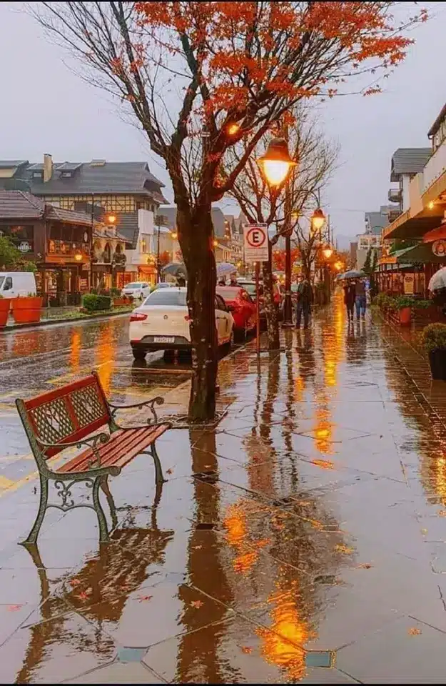 عکس پاییز بارانی