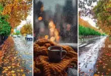 عکس پاییز بارانی