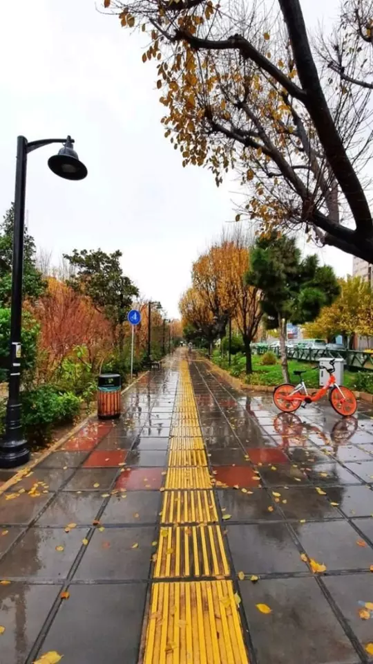 عکس پاییز بارانی