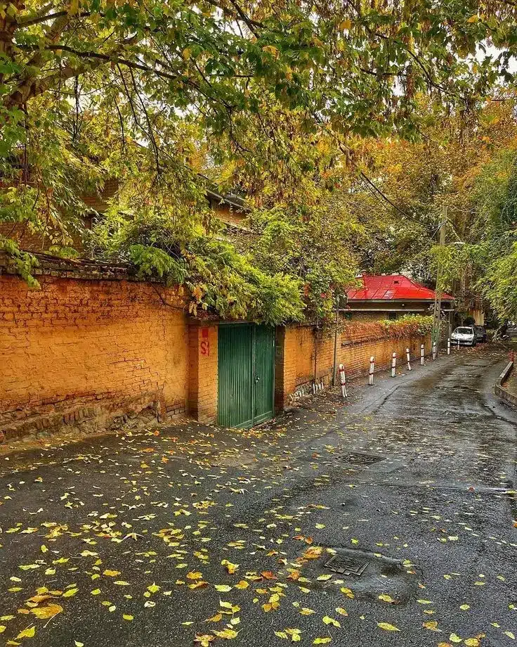 عکس پاییز بارانی