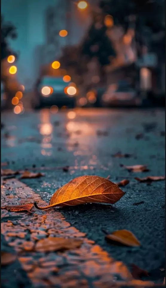عکس پاییز بارانی