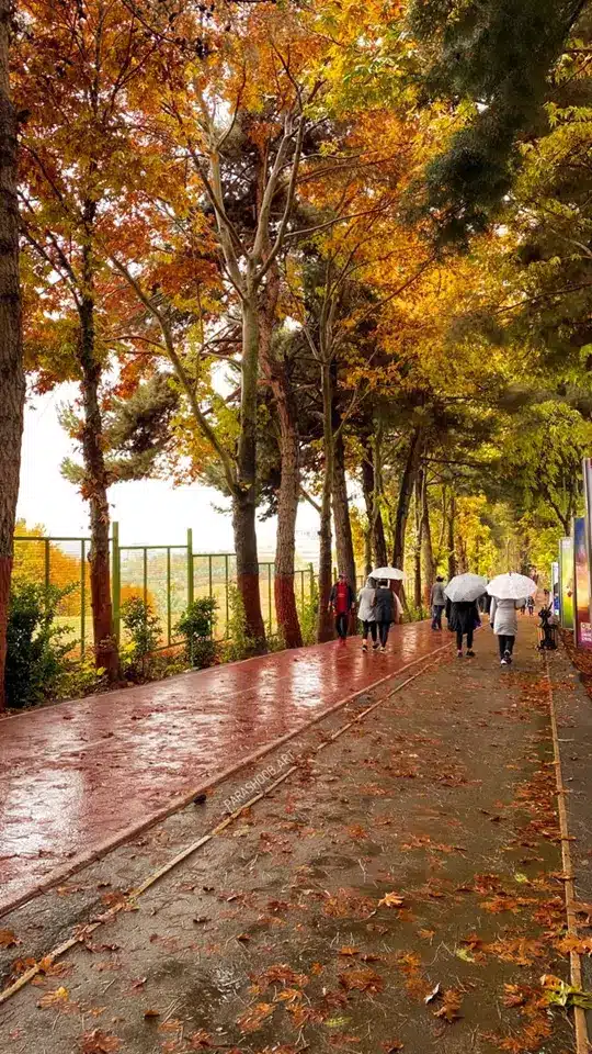 عکس پاییز بارانی