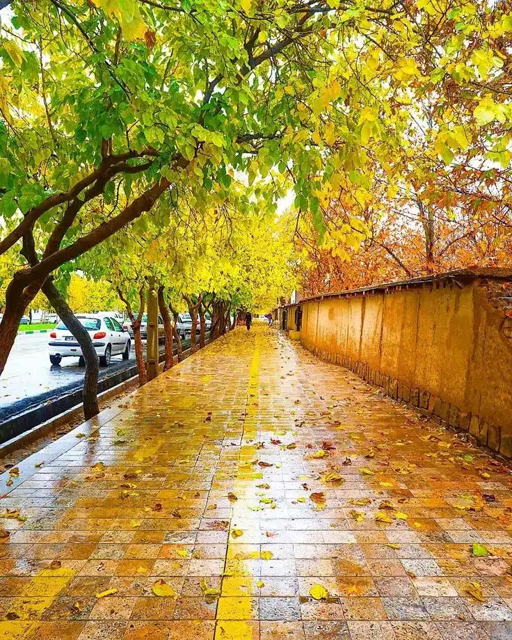 عکس پاییز بارانی
