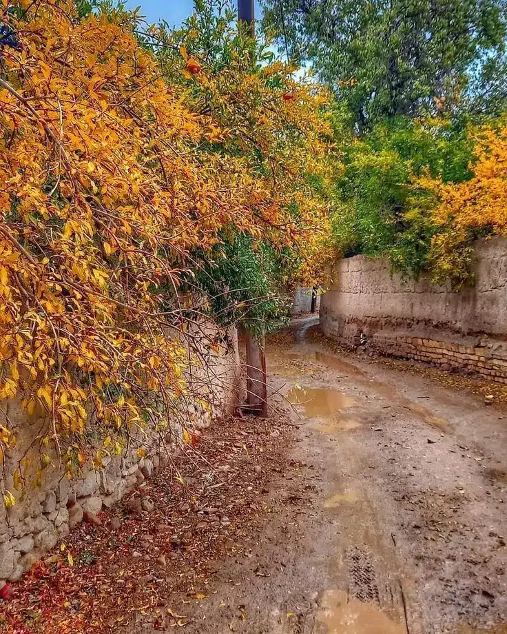 عکس پاییز بارانی
