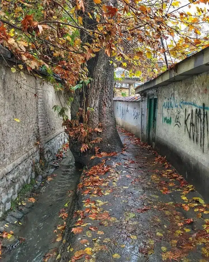 عکس پاییز بارانی