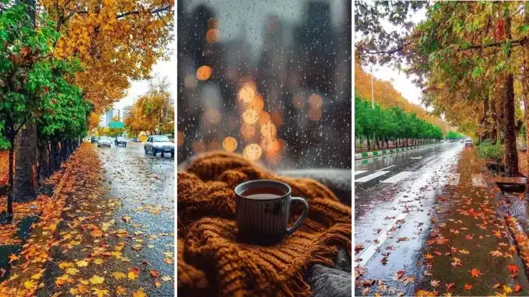 عکس پاییز بارانی