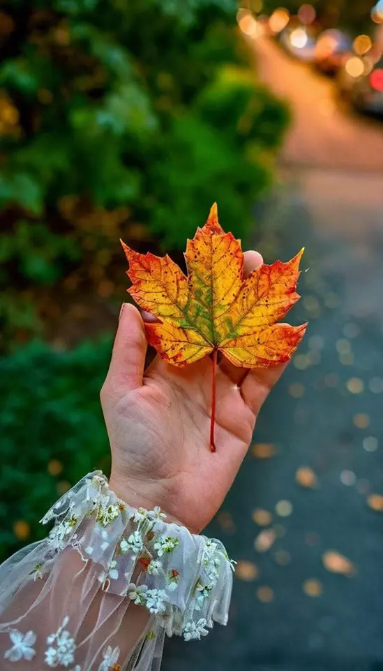 عکس پاییزی دخترانه برای پروفایل
