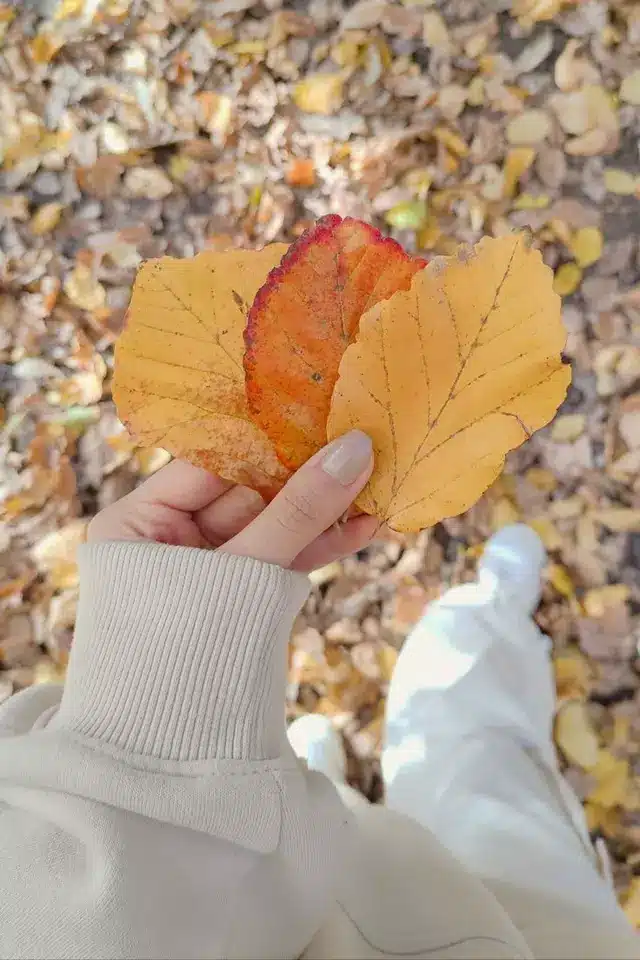 عکس پاییزی دخترانه برای پروفایل
