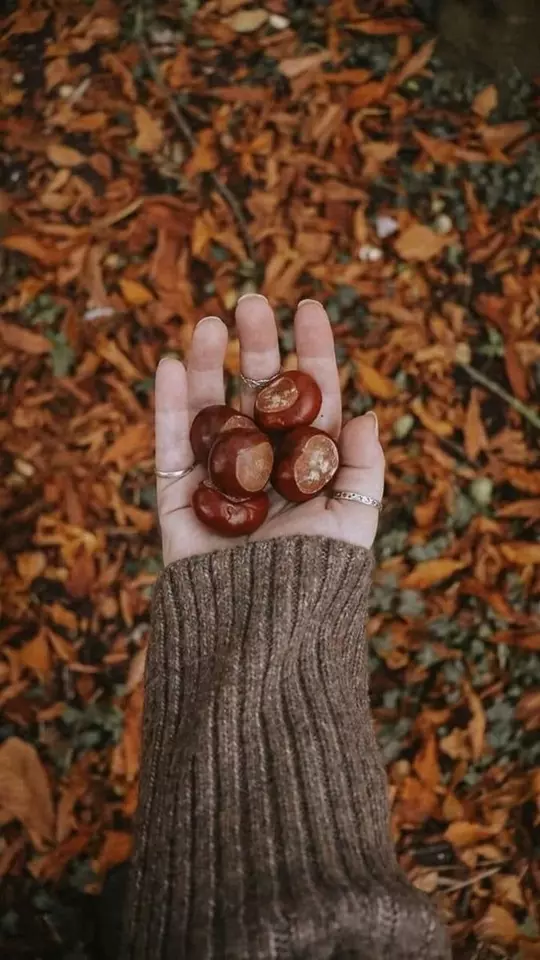عکس پاییزی دخترانه برای پروفایل