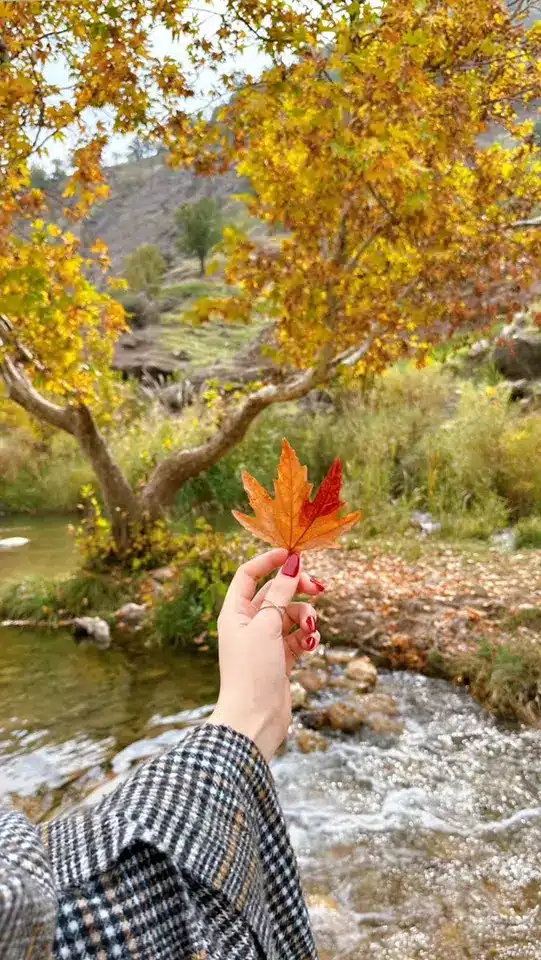 عکس پاییزی دخترانه برای پروفایل
