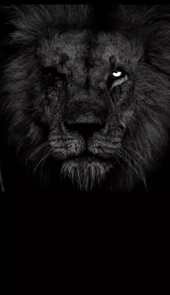 عکس پروفایل مردانه سنگین