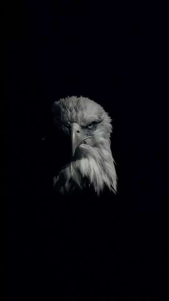 عکس پروفایل مردانه سنگین