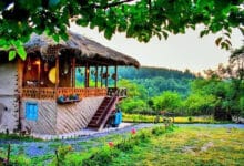 جاذبهها و جاهای دیدنی اطراف رشت؛ از طبیعت بکر تا مکانهای تاریخی