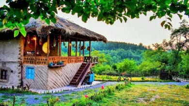 جاذبه‌ها و جاهای دیدنی اطراف رشت؛ از طبیعت بکر تا مکان‌های تاریخی