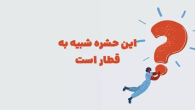 این حشره شبیه به قطار است در بازی شهربانو + جدول