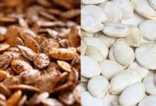 دانه کدو بوداده یا خام؟ بررسی تفاوت‌ها، فواید و ارزش غذایی هرکدام