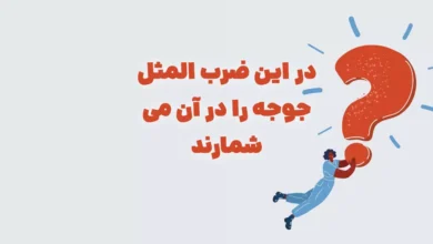 در این ضرب المثل جوجه را در آن می شمارند شهربانو