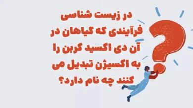 پیشنویس خودکار