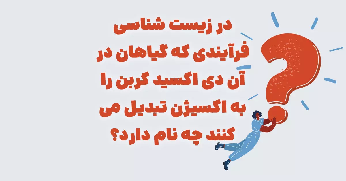 پیشنویس خودکار