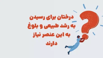 درختان برای رسیدن به رشد طبیعی و بلوغ به این عنصر نیاز دارند