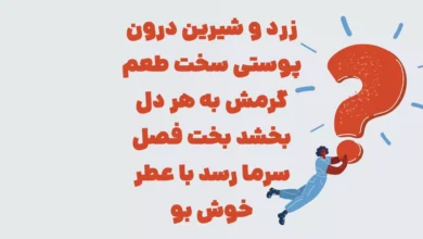 زرد و شیرین درون پوستی سخت طعم گرمش به هر دل بخشد بخت فصل سرما رسد با عطر خوش بو