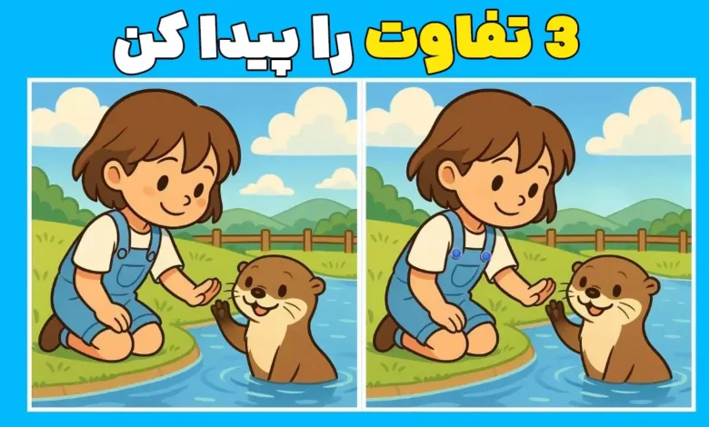 پیدا کردن تفاوت‌ها: سه اختلاف در تصویر دختر و فوک را در ۹ ثانیه کشف کن!