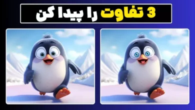 چشمان عقابی داری؟ ۳ تفاوت تصویر پنگوئن را در ۸ ثانیه پیدا کن!