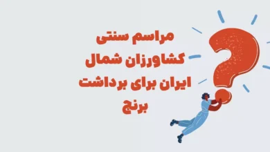 مراسم سنتی کشاورزان شمال ایران برای برداشت برنج هفت حرفی