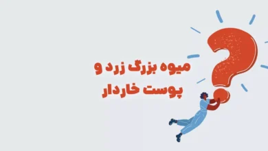 میوه بزرگ زرد و پوست خاردار بازی شهربانو + در جدول
