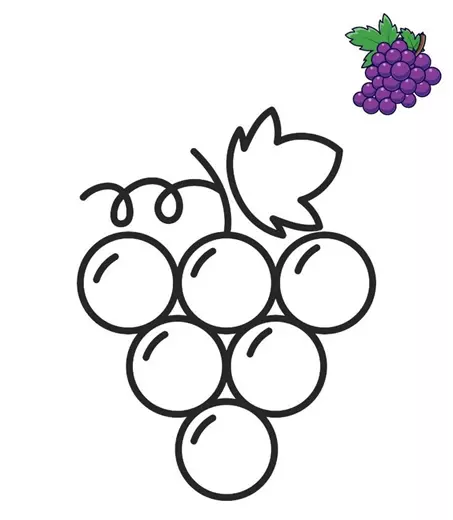 نقاشی انگور 17