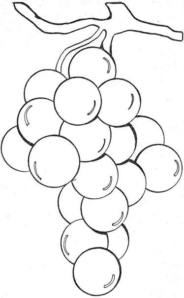 نقاشی انگور 18