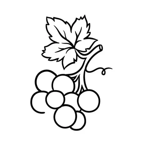 نقاشی انگور 21
