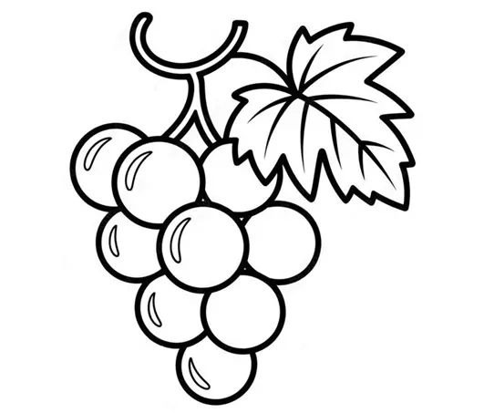 نقاشی انگور 5