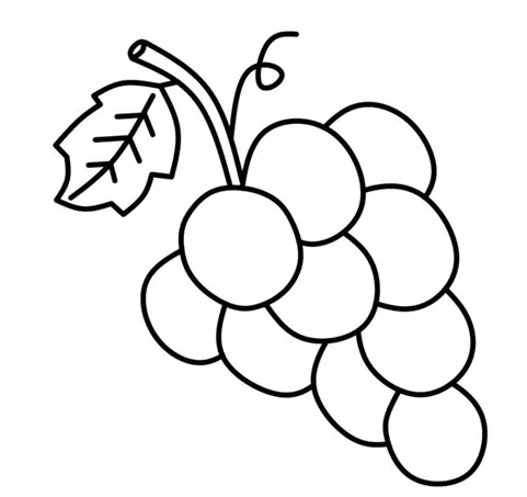 نقاشی انگور 9
