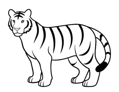 نقاشی ببر 16