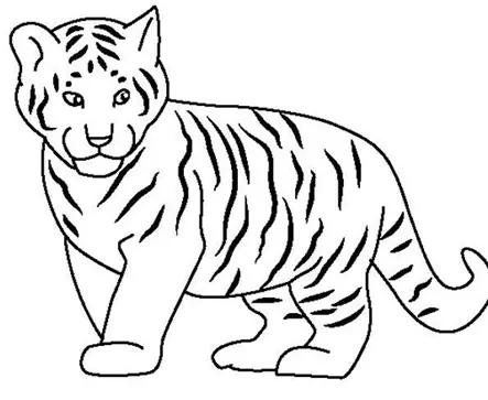 نقاشی ببر 20