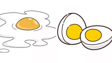 نقاشی تخم مرغ برای مدرسه