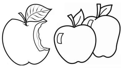 نقاشی سیب