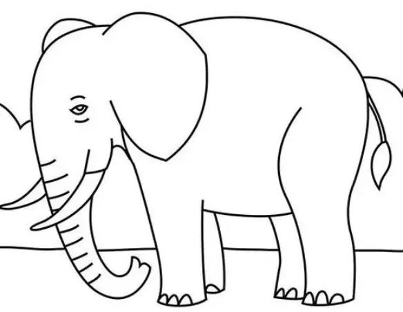 نقاشی فیل 10 نقاشی فیل 10