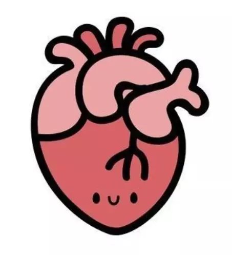 نقاشی قلب انسان 15
