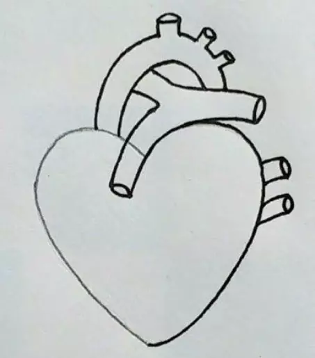 نقاشی قلب انسان 21