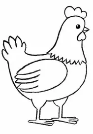 نقاشی مرغ کودکانه 2