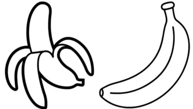 نقاشی موز