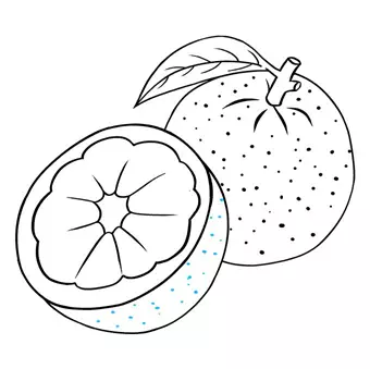 نقاشی پرتقال 3