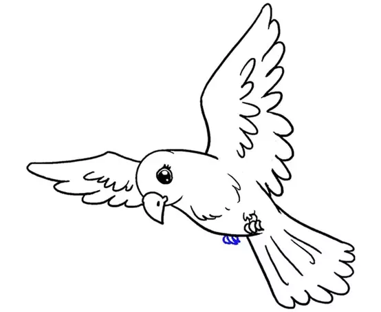 نقاشی پرستو 11