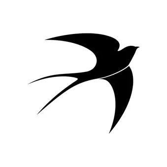 نقاشی پرستو 12