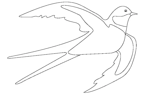 نقاشی پرستو 14